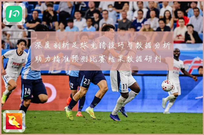 深度剖析足球竞猜技巧与数据分析助力精准预测比赛结果数据研判