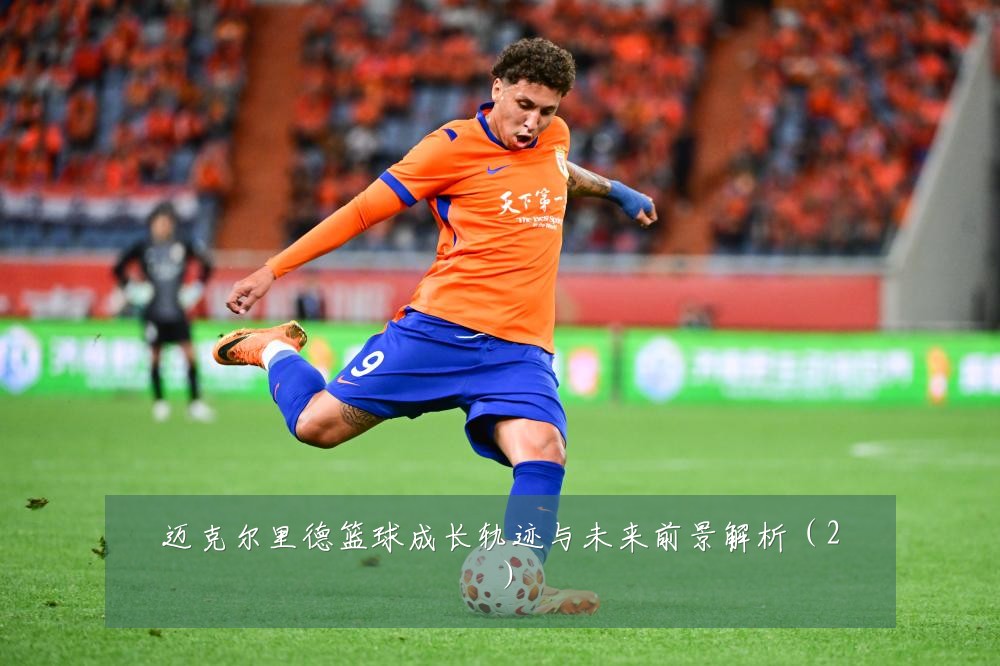 迈克尔里德篮球成长轨迹与未来前景解析（2）